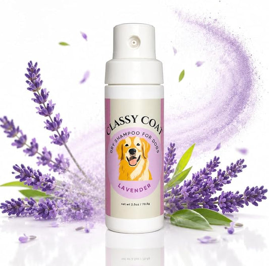 Dry Shampoo Powder & Coat Deodorizer for Dogs (Lavender) | Waterless No-Rinse Squeeze Bottle Formula | Calming Scent | Talc and Alcohol Free | Safe for Sensitive Skin | Made in USA