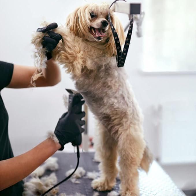 #30 Blade Dog Grooming Replacement Blades Compatible with Andis Dog Clipper | For Wahl KM Series /Oster A5 Dog Clippers Detachable Ceramic & Stainless Steel Blade,Size-30, 1/50-Inch Cut Length (64260)