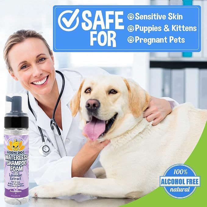 Bodhi Dog Waterless Foam Shampoo - Natural No Rinse Dry Shampoo for Dogs & Cats - Neutralizes Pet Odor - Gentle, Safe for Sensitive Skin - Made in USA - Lavender (8 Fl Oz)