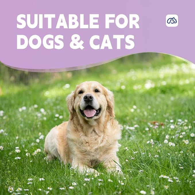 Paw Cleaner for Dogs & Cats, No-Rinse Foaming Pet Foot Washer for Dirty, Muddy Paws, Gentle, Fragrance-Free, pH Balanced Foaming Cleanser with Silicone Bristle Brush, 5 fl oz