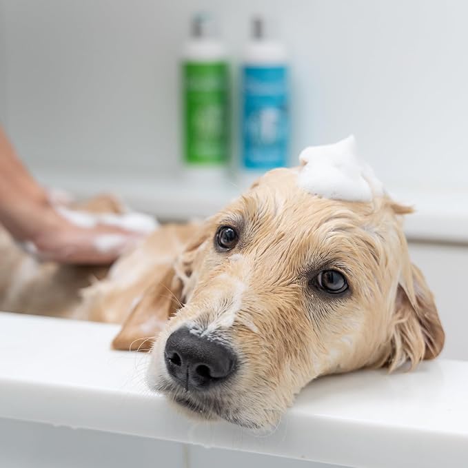 Soothing Hypoallergenic Dog Shampoo with Cold Pressed Argan Oil - Nourish Your Dog with Vitamin E & Peppermint for Soft & Smooth Dog Hair - Relief from Natural Itchy Skin (300 ML)