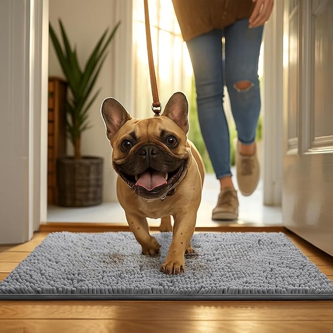 MUDGUARD MAT® Dog Door Mat for Muddy Paws, Super Absorbent Microfiber, Non-Slip Indoor Mat, Quick-Dry Chenille Rug for Pets & Entryway, Machine Washable, Grey 24" x 60"