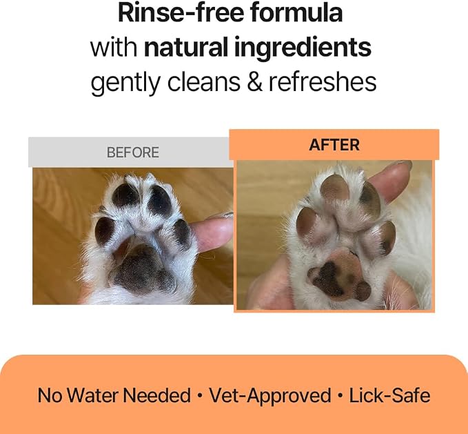 PetO’Cera Skin-First Waterless Cat Shampoo - 100% Licking Safe No Rinse Dry Bath Foam, Gentle & Hypoallergenic, Dander & Odor Control, Vet-Approved, 6.76 fl oz