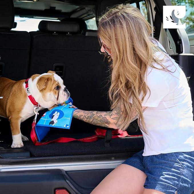RC Pets Quick Dry Paw Towel Pool Party