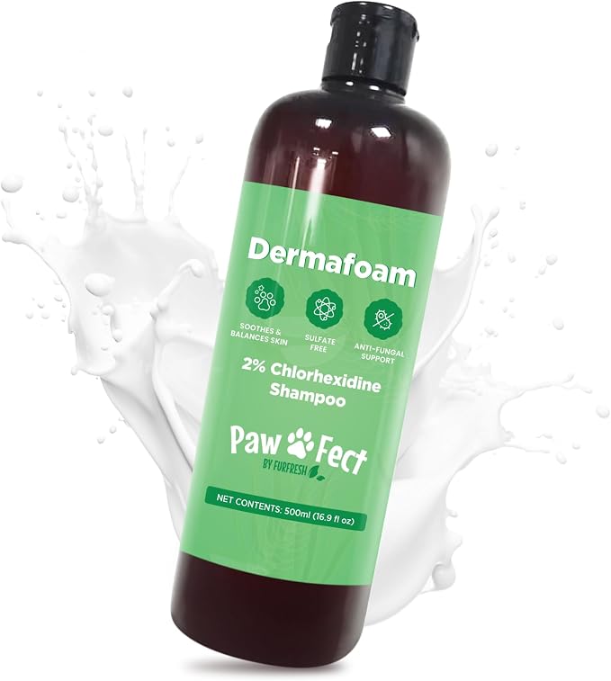 DermaFoam Dog Shampoo 16 oz | Pet Supplies for Odor Control & Greasy Coats – Sulfate Free Moisturizing Formula Pet Shampoo, Fresh Cucumber Scent 500ml