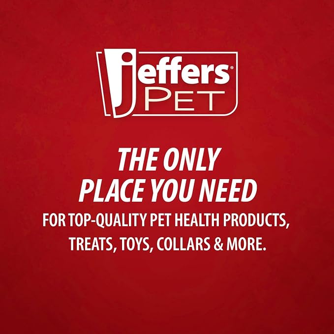 Jeffers Pet Nature's Best Cedar Shampoo for Dogs & Cats, 128 oz, Coconut Based Deodorizing Pet Shampoo, Soap & Detergent Free Grooming Bath Cleanser, with Cedar Oil, Aloe & Vitamin E, Made in USA