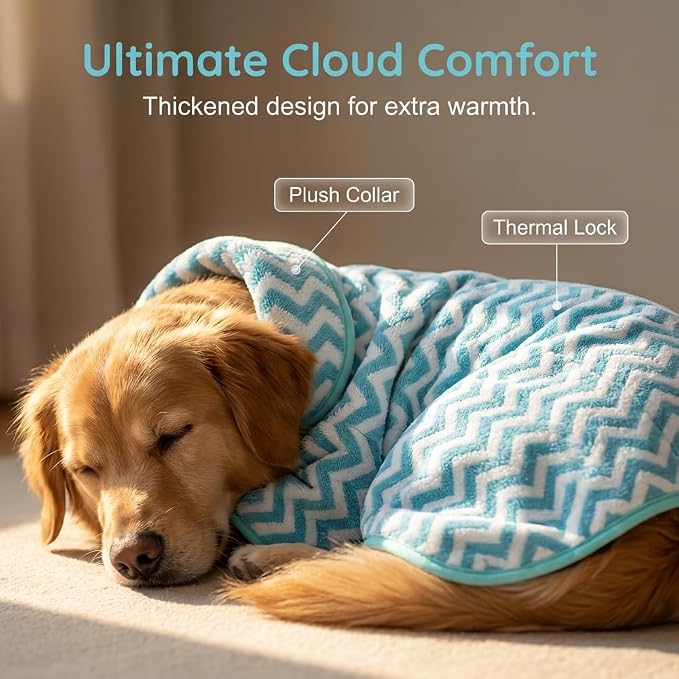 Dog Bathrobe and Drying Towel, Super Absorbent Microfiber Pet Drying Robe, Soft Coral Fleece Puppy Bath Coat with Adjustable Fastener, Easy-to-Put-On Dog Towel (Green, XS)