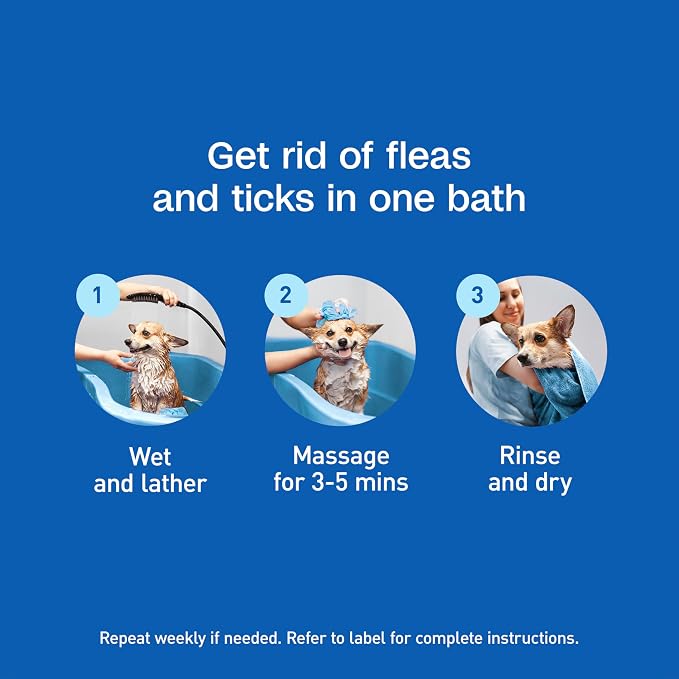 ADAMS Plus Flea & Tick Shampoo with Precor for Dogs, Cats, Puppies & Kittens, Flea Shampoo to Treat Infestations, Kills Ticks, Fleas, Flea Eggs & Lice, Cleans and Conditions Coat, 6 Ounces