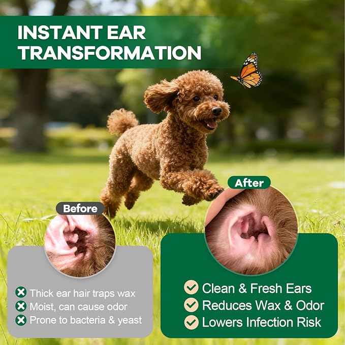 Dog Ear Hair Removal Tool – Easy Ear Plucking Powder for Dogs, Upgraded Dog Ear Powder, Hemostats & Round Tip Scissors for Gentle, Effective Ear Hair Removal (Poodles, Schnauzers & More)