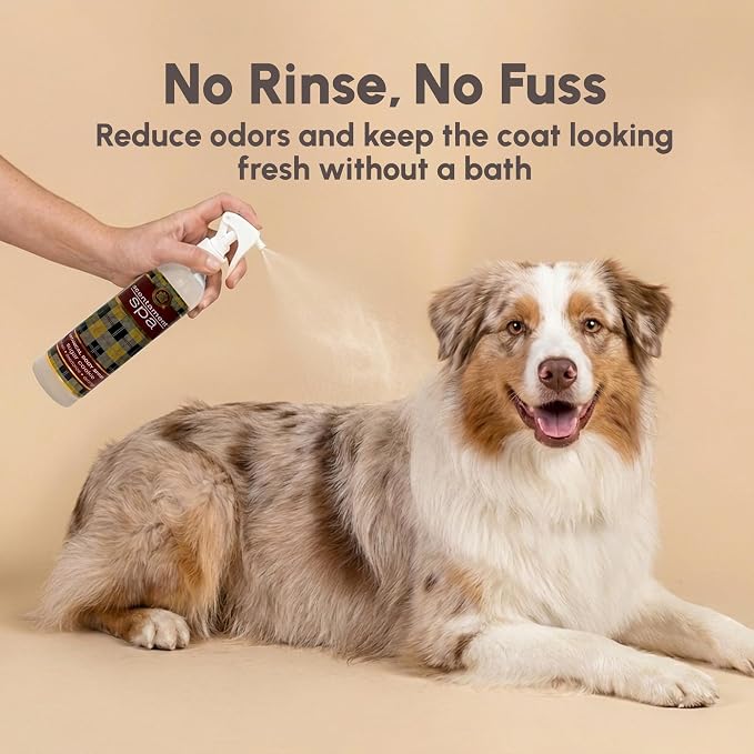 Best Shot Scentament Spa Botanical Body Splash for Dogs & Cats, Dog Cologne, Deodorizing Spray, Conditioning Pet Grooming Mist & Dog Detangler Spray, Sugar Cookie Splash, 8 fl oz