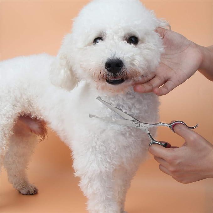 Dog Grooming Scissors Set, 4CR Stainless Steel Safety Round Tip Pet Professional Grooming Tool 5 Pieces Kit - Straight, Curved, Thinning Shears & Comb for Dogs, Cats and Other Animals