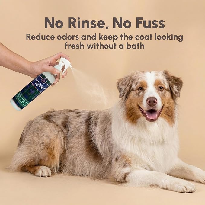 Best Shot Scentament Spa Botanical Body Splash, Detangler Spray, Hypoallergenic Body Spray for Cat and Dog, Berry Amaretto, 8 Oz.