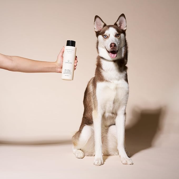 Goldie Dog Essentials Itch Relief Dog Shampoo for Sensitive Skin & Puppies | Soothes Irritation | Hydrates Dry Coat | Hypoallergenic | Oatmeal Formula | Aloe Vera | Manuka Honey