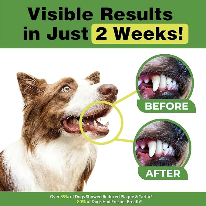 Dog Dental Powder, Teeth Cleaning Powder for Dogs, Plaque & Tartar Remover for Pet Oral Care - Fresh Breath & Teeth Cleaning Made Easy - Natural Herbal Blend + Probiotics - 75 Servings(150g) (Mint)