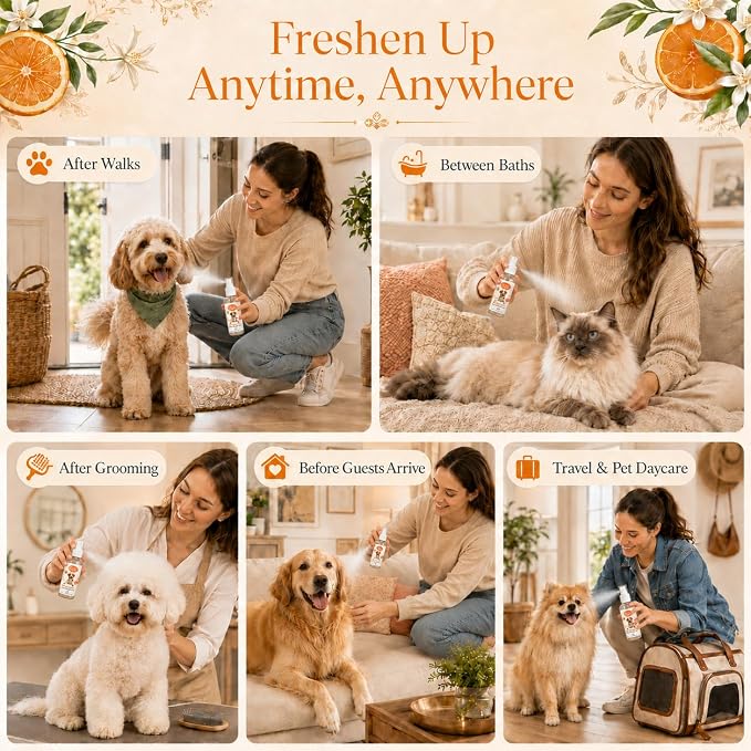 Dog Perfume Spray Long Lasting - Pet Cologne for Dogs & Cats, Alcohol-Free Natural Botanical Formula Deodorizing Grooming Mist, Citrus & Orange Flower Scent, Fresh Coat Care Between Baths, 1.7 fl oz
