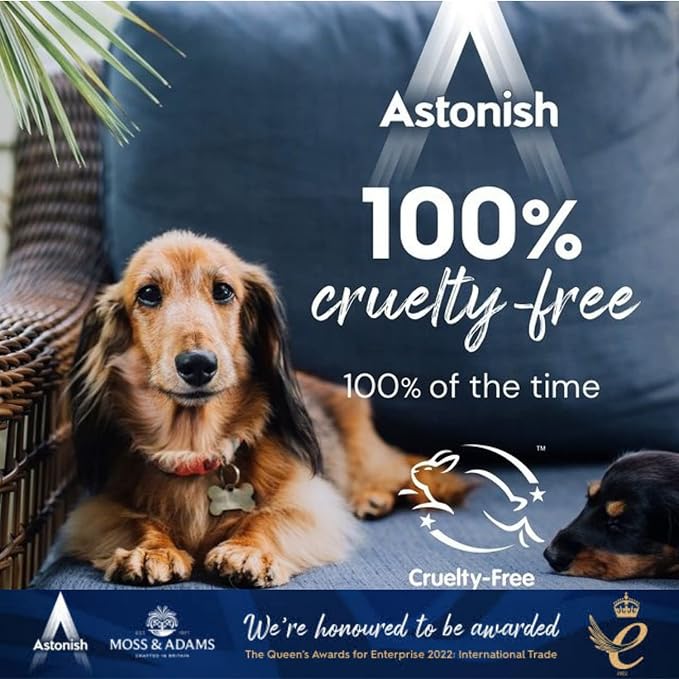 Astonish Zesty Lemon Floor Cleaner With Built In Dirt Repelling Technology To Prevent Stains & Protects Floors From Mud & Pet Stains - Concentrated Mop Solution For Tiles & Sealed Wood 1 Liter Bottle