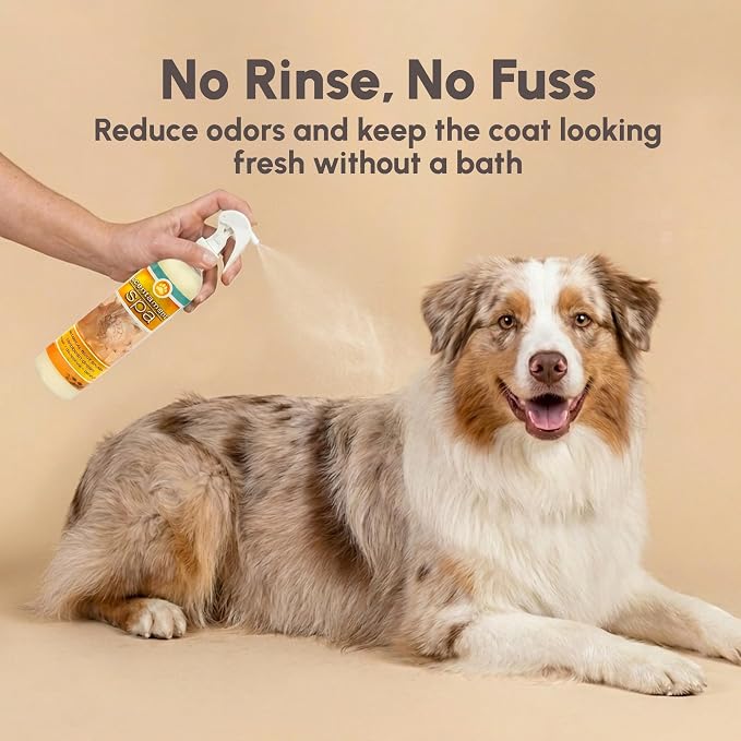 Best Shot Scentament Spa Botanical Body Splash, Pet Deodorizing Spray for Dogs & Cats, Conditioning Body Spray with Caribbean Dream Splash, Gentle Grooming Finishing Mist, 8 fl oz