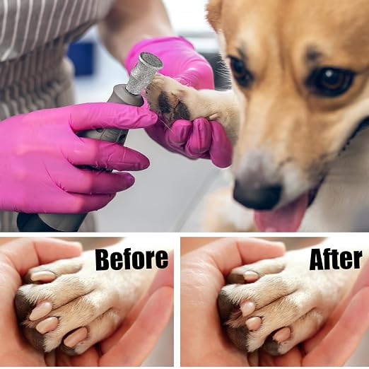 Diamond Dog Nail Grinder Bits - FOCSTOL Diamond Rotory Bit for Dogs&Pets, 5pcs 1/8'' Rotary Nail Grinder Bits for Animals Nail Care (Type A+B+C+D+E)