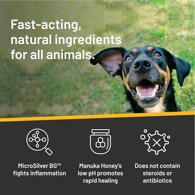 Absorbine Silver Honey Rapid Ear Care Vet Strength Ear Rinse, 4oz, Manuka Honey & MicroSilver BG, Safe for Dogs & Cats