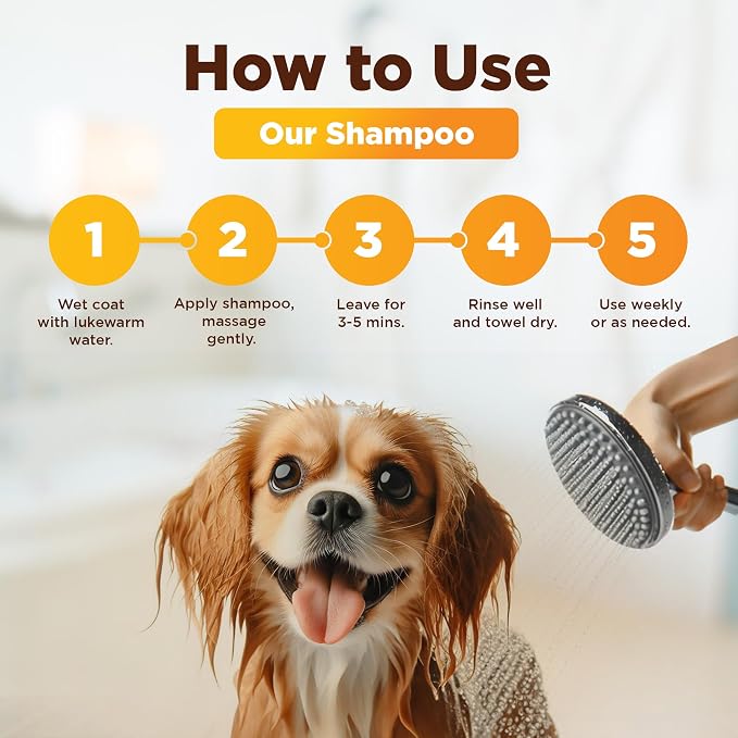 Honey & Oatmeal 16.9 oz Pet Shampoo for Dogs, Natural Formula with Colloidal Oatmeal, Aloe & Honey - Relieves Itchy Dry Skin, No Sulfates or Parabens, Gentle, Chamomile Scented