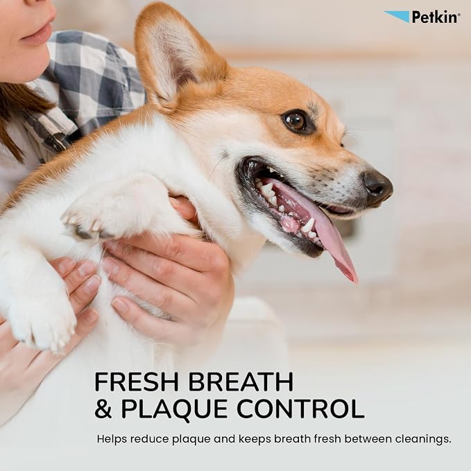 Petkin Cat and Dog Dental Wipes, 80 Wipes (Fresh Mint) - Natural Formula Cleans Teeth, Gums & Freshens Breath - for Daily Use - Convenient Dog Dental Care - 2 Packs of 40 Wipes (80 Wipes Total)