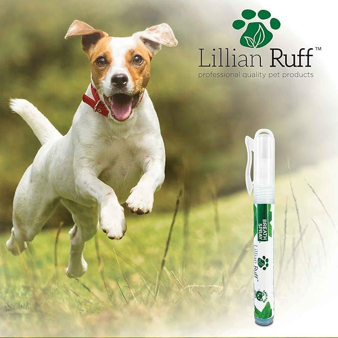 Lillian Ruff Travel Kit for Dogs | Dog Grooming Spray for Airline Travel, Camping, Beach | Deodorizing Waterless Dog Shampoo x4, Breath Freshener, Detangler Spray, Ear Cleaner