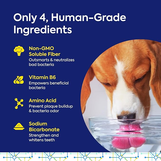 Teef For Life Protektin42 Plant-Derived Prebiotic Dental Powder for Dogs, Daily Dental Care, Clinically-Proven Formula Naturally Fights Plaque and Tartar, Dental Kit with 180 Servings