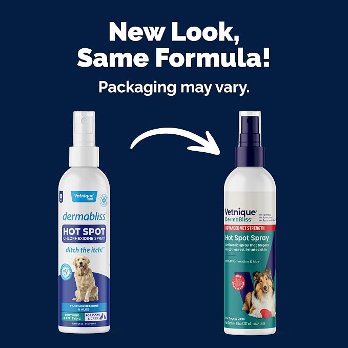 Vetnique Dermabliss Hot Spot Treatment Spray for Dogs Cats, Skin Relief | 4% Chlorhexidine Antiseptic Spray & Antibacterial Dog Spray, Hot Spot & Wound Care, Skin Irritation & Itch Relief, No-Sting