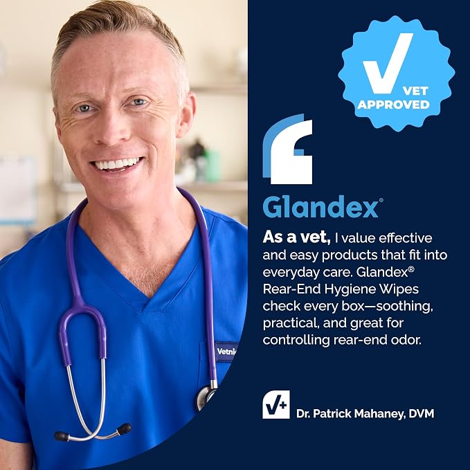 Vetnique Glandex Rear End Wipes for Dogs & Cats, Anal Gland Hygiene & Deodorizing Dog Wipes for Paws and Butt, Boot The Scoot with DeoPlex Enzyme, Aloe & Vitamin E (75ct)