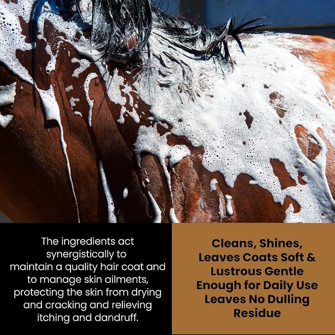 Corakko - Horse Shampoo - Premium Therapeutic Skin Care Formula - Nano-Copper Technology - Leaving Coat Conditioned & Protected Against Itching, Bites, & Preventing Skin Ailments - 16oz