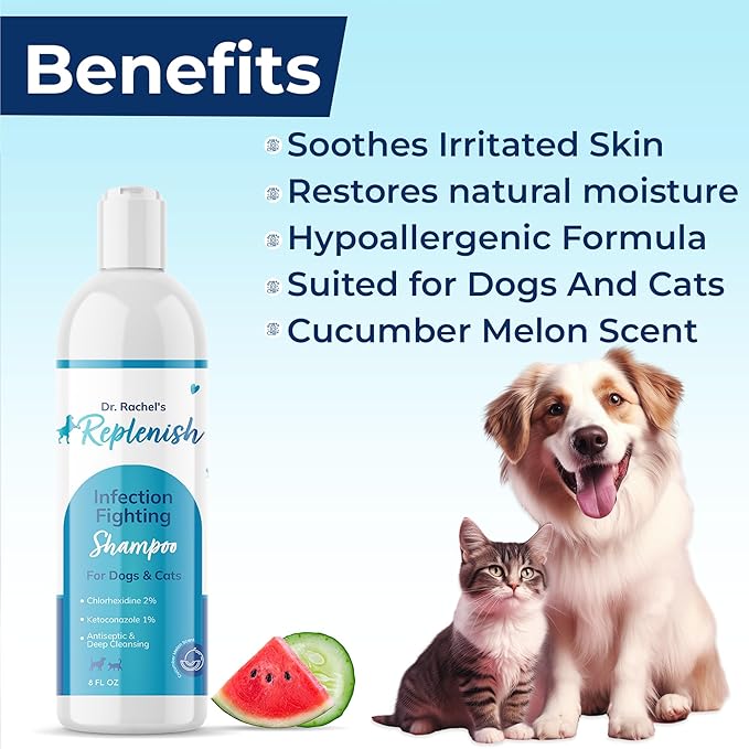 Replenish Anti Itch Dog Shampoo - Medicated Antiseptic Shampoo for Skin Irritation Treatment & Itchy Skin Relief - Dr. Rachel’s Chlorhexidine Dog Shampoo for Yeast with Cucumber Melon Scent - 8 oz