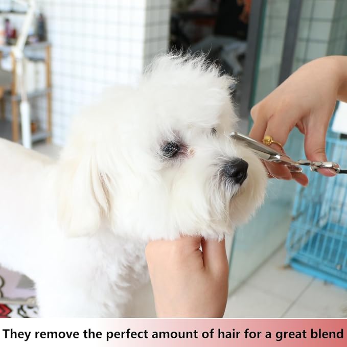 HASHIMOTO Dog Blending Shears for Large Hands,dog Texturizing Scissors,Cat Blender,45 teeth,7.0 inch,Light Weight.