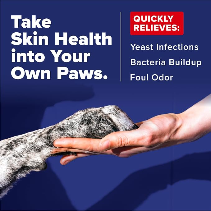 OxyMed Medicated Antifungal Dog Shampoo, Yeast Dermatitis Treatment for Dogs, Deep Cleaning & Healing Formula with Miconazole, Zinc & Oatmeal, 20oz