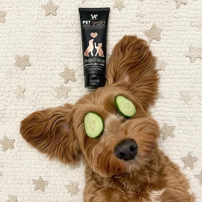 Watermans Cat & Dog Shampoo Wash - Antifungal, Natural & Antibacterial Head-to-Tail Wash - Bubble Grooming for Smelly, Itchy Skin, Dandruff & Pet Allergies - Paraben-Free & Deodorizing