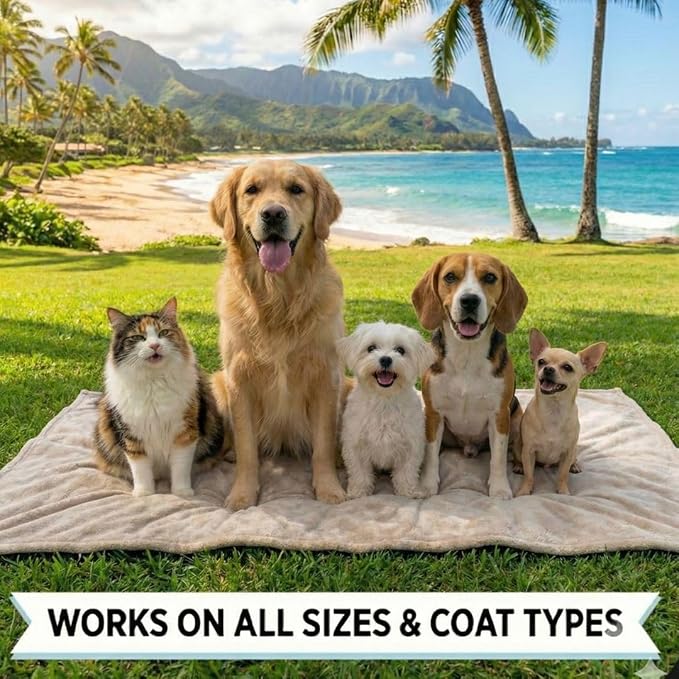 Fluff Dust Dry Shampoo for Dogs, Waterless Dog Shampoo & Pet Deodorizer for Smelly Dogs, Natural Formula, Made in Hawaii USA, 60 Grams