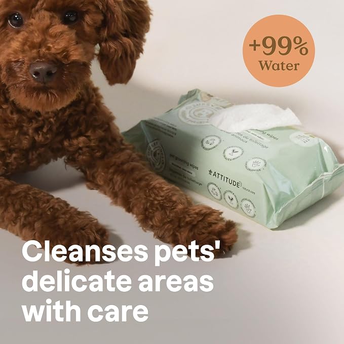 ATTITUDE Pet Grooming Wipes, Hypoallergenic Plant and Mineral-Based Ingredients, Vegan and Cruelty-Free Biodegradable Products, Unscented, 72 Count (Pack of 2)