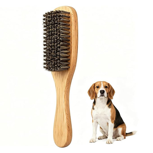 Boar Bristle Dog Brush for Short Haired Dogs, Natural Wooden Grooming Tool, Reduce Shedding, Detangle & Massage Sensitive Skin, Grooming to Calm Dogs & Build Pet Owner Bonding (Peach wood)