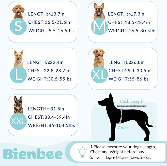 Bienbee Dog Bathrobe, Quick Drying Super Absorbent Pet Robes for Small Medium Large Dogs, Drying Coat for After Bath & Swim, Warm & Cozy Dogs Towels, Dog Puppy Bath Supplies, Light Green XL