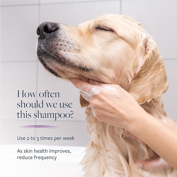 Veterinary Formula Clinical Care Antiparasitic & Antiseborrheic Medicated Dog Shampoo, 128oz – Help Alleviate Your Dog's Flaky Skin and Coat – Paraben, Dye, Soap Free
