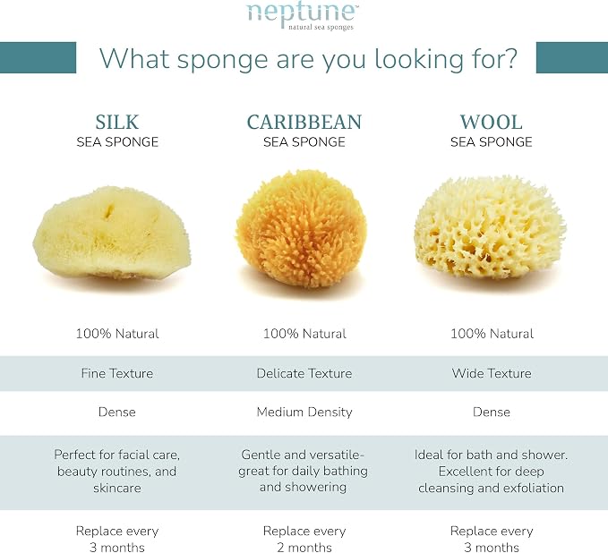 Neptune Caribbean Sea Sponge for Face & Body, Small Approx. 4-5 Inches, Ultra-Soft Bath Sponge, Eco-Friendly & Biodegradable