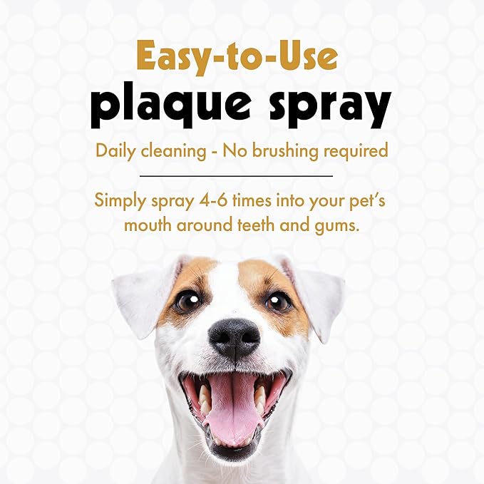 Petkin Plaque Spray, Peanut Butter, 4 Fl Oz - Cleans Teeth & Gums, Removes Plaque & Tartar, Freshens Breath & Whitens Teeth with Baking Soda - Ideal Cat & Dog Dental Spray with No Brushing or Rinsing
