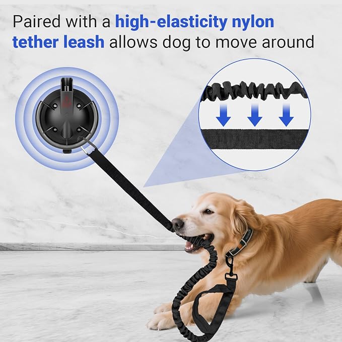 Dog Bathing Suction Cup with Tether, High Elasticity Nylon Dog Bathing Tether Leash with Powerful Suction Cup for Pet Puppy Cat Shower,Trimming, Grooming