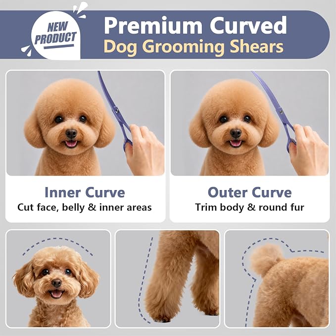 Professional Dog Grooming Scissors: 7" Japanese 440C Steel, Curved Shears with 25-30° Blade for Pet Groomers (Violet)