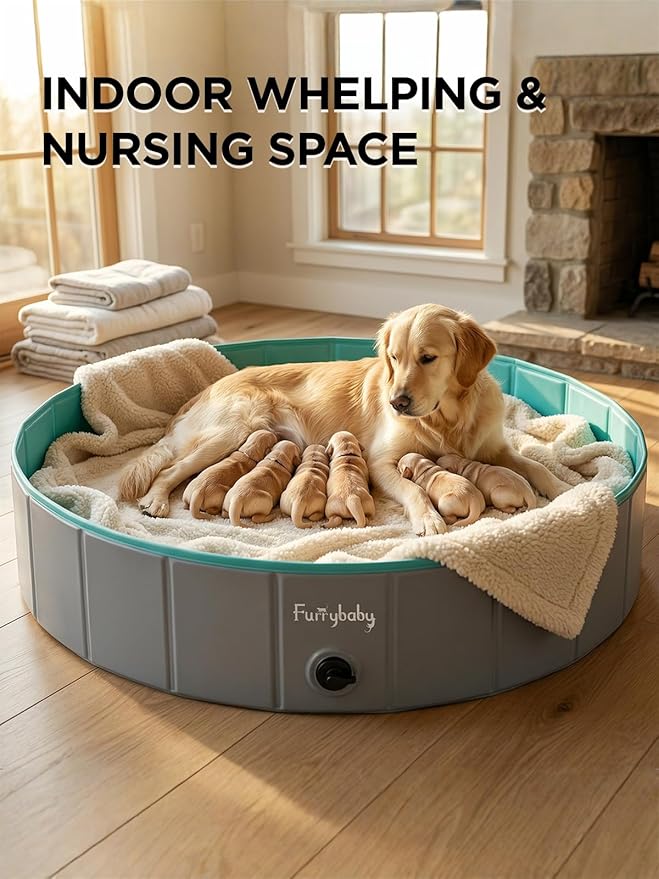 Furrybaby Dog Pool Foldable Dog Pools for Large Dogs with Hard Plate Collapsible Pet Bath Pool Kiddie Grey 63''