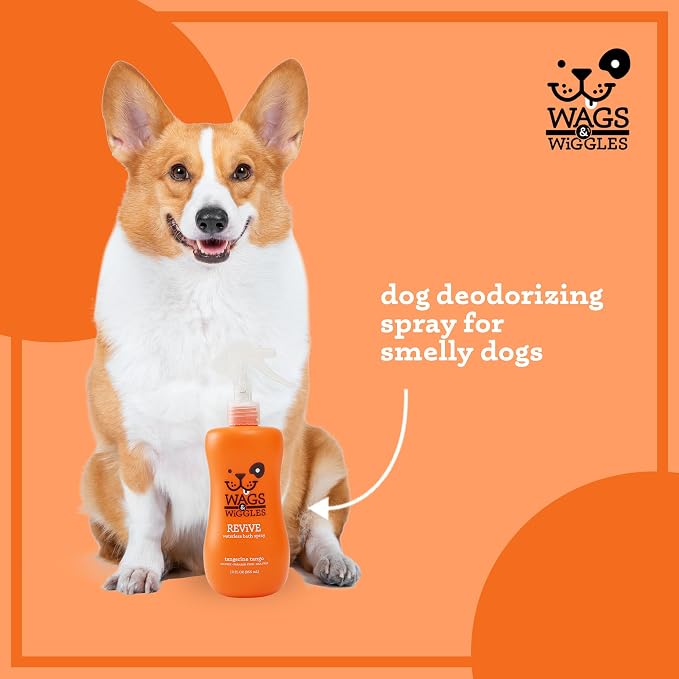 Wags & Wiggles Revive Waterless Bath Spray for Dogs, Tangerine Tango Scent, Dog Waterless Shampoo and Deodorizer for Smelly Dogs, pH Balanced, Paraben Free, 12 Fl Oz