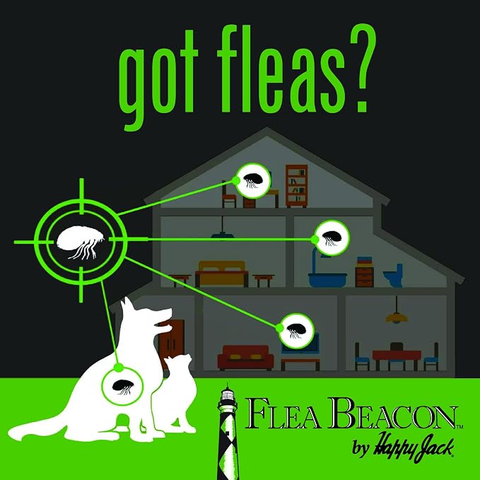 Happy Jack Flea Beacon Indoor Flea Trap, Made in USA | Attracts & Traps Indoor Bugs, Breaks Breeding Cycle Before Adults Lay Eggs, Safe, Fast, & Clean, Made in USA