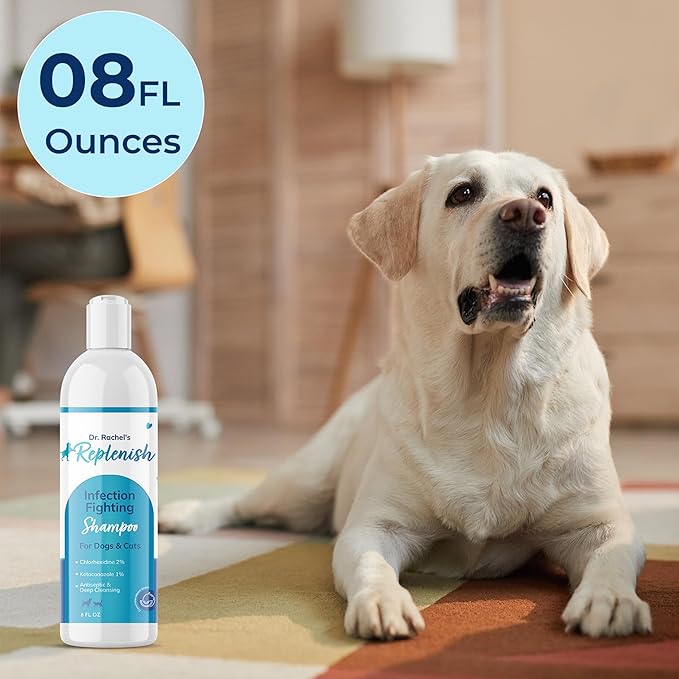Replenish Anti Itch Dog Shampoo - Medicated Antiseptic Shampoo for Skin Irritation Treatment & Itchy Skin Relief - Dr. Rachel’s Chlorhexidine Dog Shampoo for Yeast with Cucumber Melon Scent - 8 oz