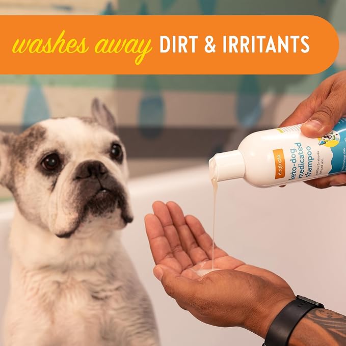 Dogtopia Keto-Dog Medicated 12oz Shampoo for Dogs and Pets – Hint of Mint Scent | Therapeutic Medicated Shampoo with Moisturizing Colloidal Oatmeal | Soothes and Relieves Irritated Skin
