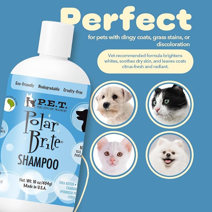 P.E.T. Polar Brite Tangerine Whitening Shampoo — Brightens White & Light-Colored Coats, Tangerine-Botanical Moisture Blend — 5 : 1 Concentrated Cosmetic Grooming Formula (Not a Pesticide) — 16 oz