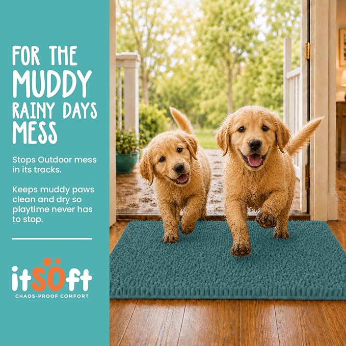 Dog Rugs for Muddy Paws 25x18 | Cleaner Mud Free Floors | Muddy Dogs Mats for Indoor, Dog Mat for Muddy Paws Door Mat Washable, Absorbent Chenille Mud Room Rug Paw Matt w/ Non Slip Backing, Teal